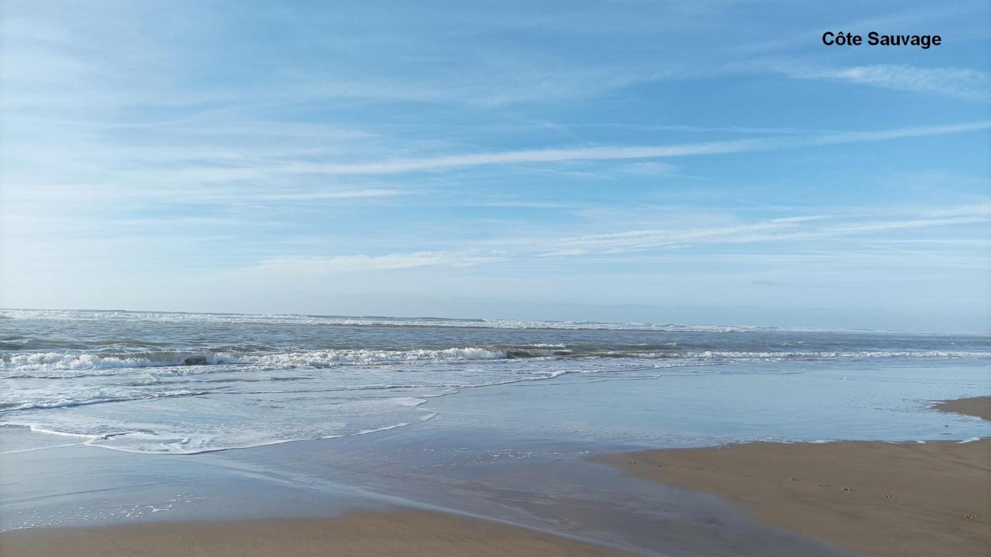 Renove Entre Royan Et Oleron * Etaules (Charente-Maritime)