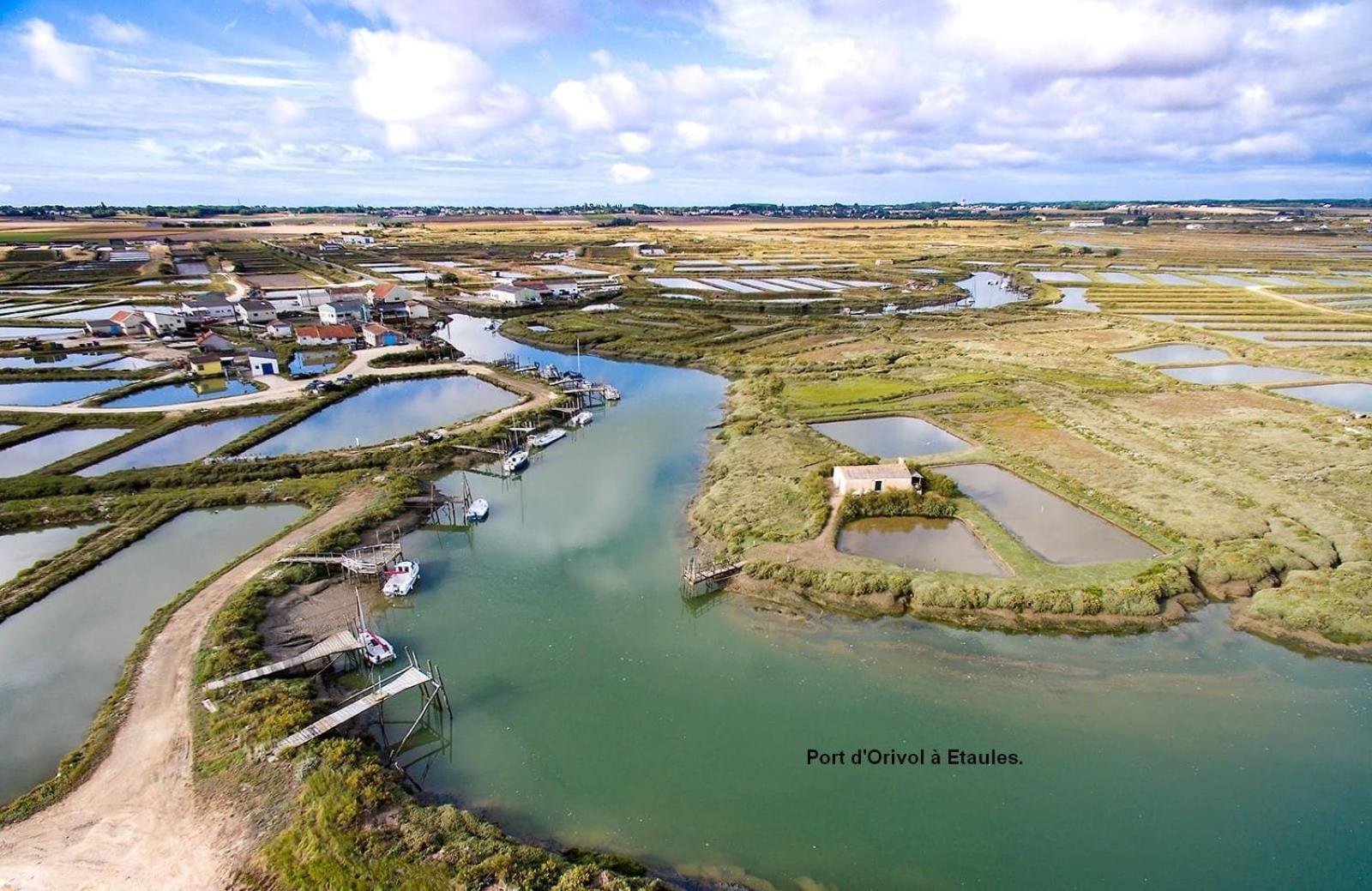 Renove Entre Royan Et Oleron Apartment