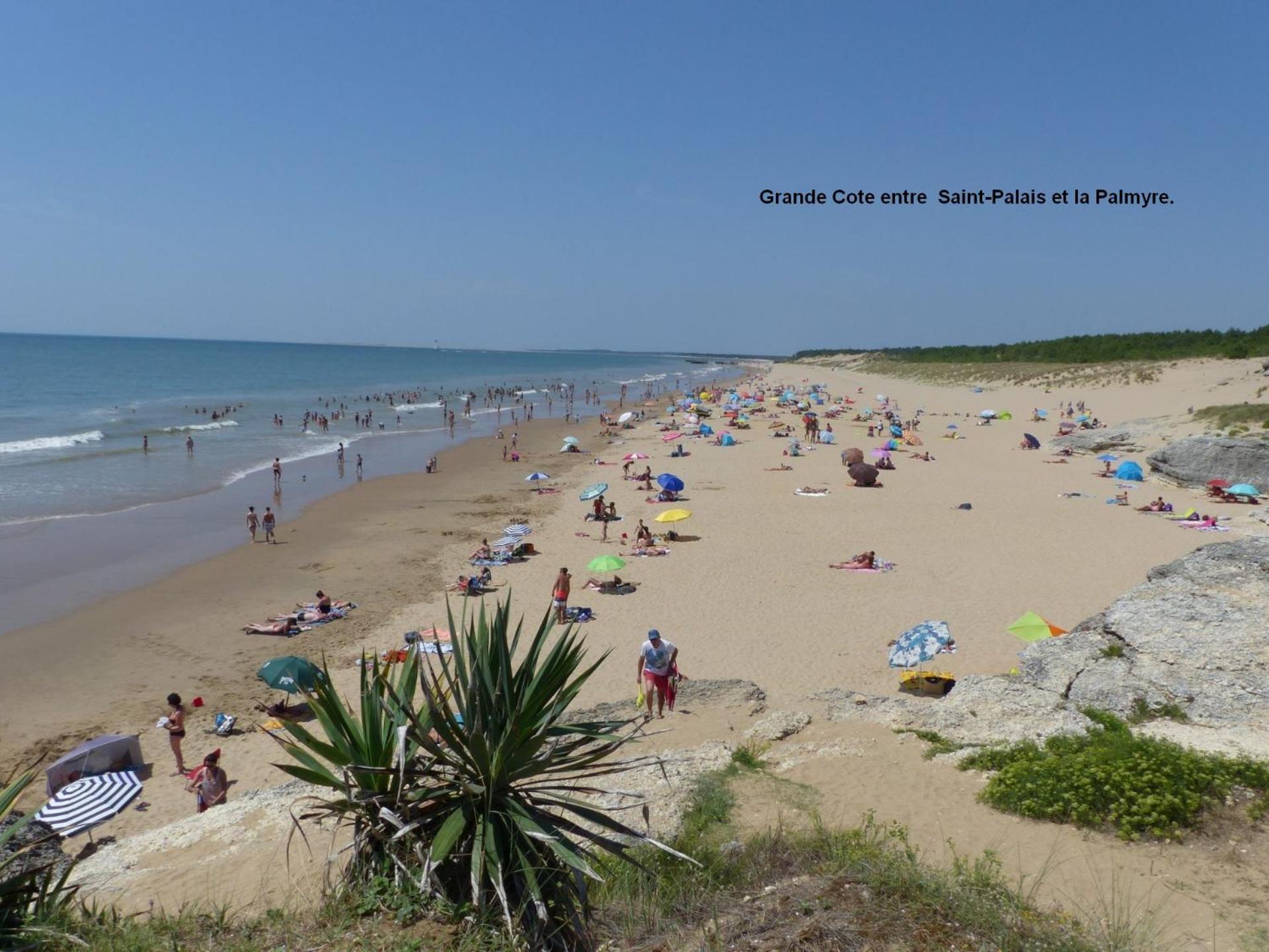 Renove Entre Royan Et Oleron *
